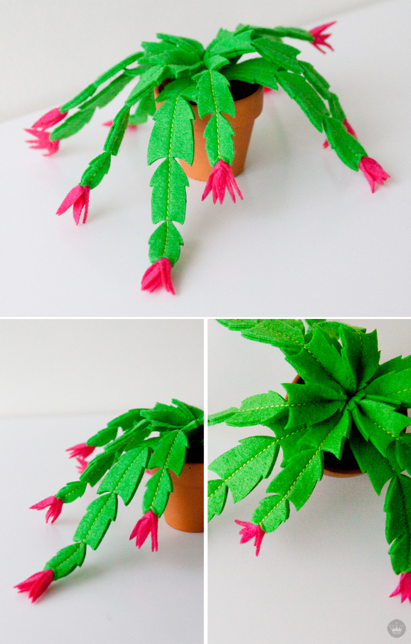 Christmas cactus | felt holiday crafts by Hallmark artists | thinkmakeshareblog.com